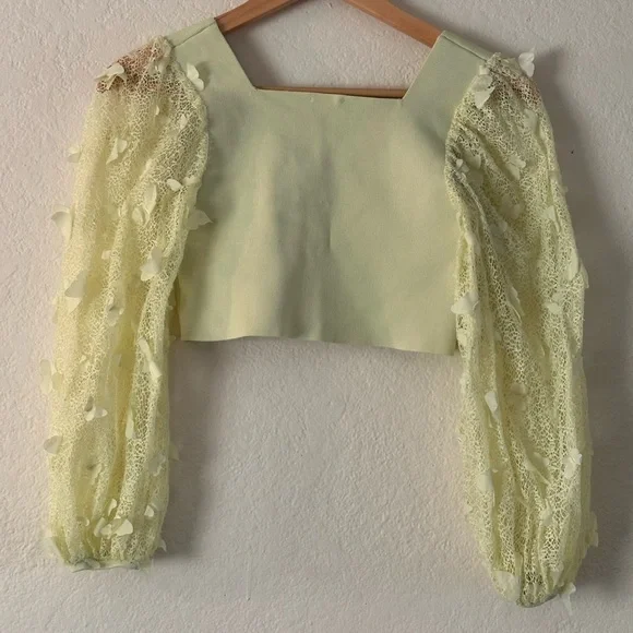 Free People Butterfly Crop Top - Picture 6 of 6